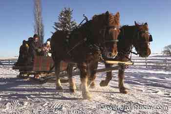 Langdon-area ranch offers sleigh and wagon rides this winter - Airdrie Today
