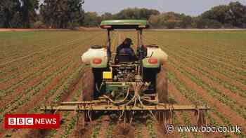 Poorest face food crisis amid fertiliser shortage