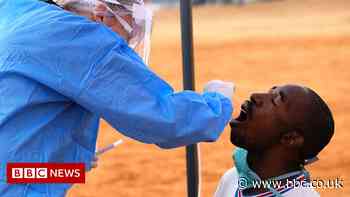 Coronavirus variant fear sparks Africa travel curbs