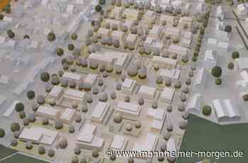Planung für Neubaugebiet in Mannheim-Seckenheim steht - Mannheim: Seckenheim - Nachrichten und Informationen - Mannheimer Morgen
