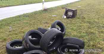 Bauschutt und Sperrmüll illegal entsorgt - Mannheim - DIE RHEINPFALZ - Rheinpfalz.de