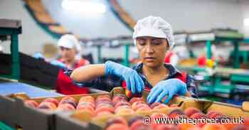 The food industry is facing a green skills crisis – here's what we need to do - The Grocer
