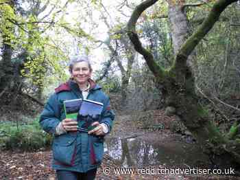 Redditch gardener travels to Tudor England in brand new novel - Redditch Advertiser