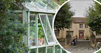 Ilminster gardener died of heatstroke after greenhouse fall - Somerset Live