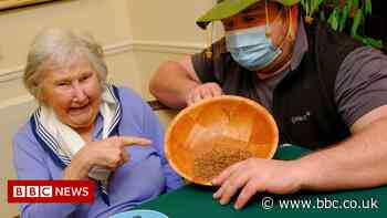 I'm A Celebrity: Care home residents face insects and snakes challenge