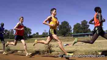 RT PODCAST EPISODE 9: NEW ZEALAND MARATHON RECORD HOLDER | ZANE ROBERTSON - Runner's Tribe