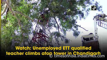 Watch: Unemployed ETT qualified teacher climbs atop tower in Chandigarh