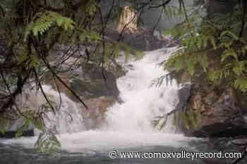 Cumberland looks to protect Perseverance Creek watershed – Comox Valley Record - Comox Valley Record