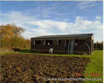Couple in court for unauthorised outbuilding in New Forest - Bournemouth Echo