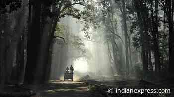 Corbett Tiger Reserve probe: Uttarakhand govt transfers 34 forest officials - The Indian Express