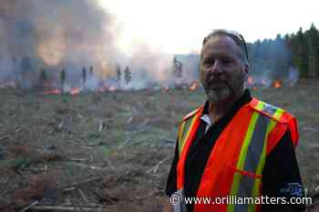 From wasteland to woodland, we're 'forest capital of Canada' (4 photos) - OrilliaMatters