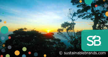 Natural Resources: Brands Partnering with Indigenous Communities on Forest Conservation - Sustainable Brands