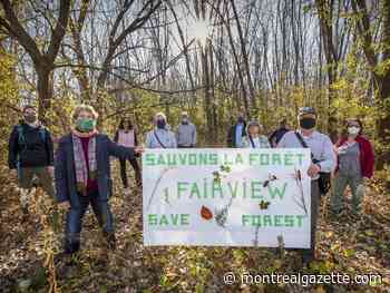 Save Fairview Forest group marks 52 weeks of Saturday protests - Montreal Gazette