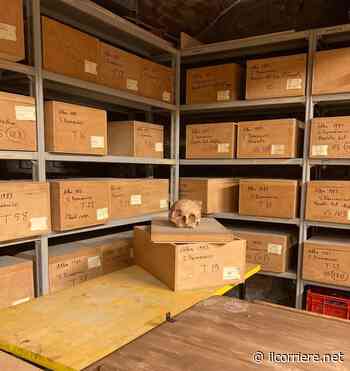 Novità: il Museo Eusebio di Alba apre al pubblico e svela i suoi depositi - https://ilcorriere.net/