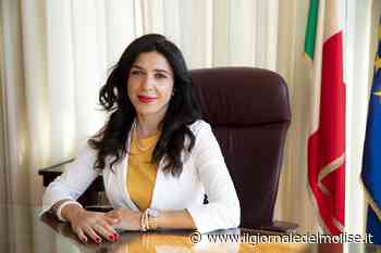 Carenza di personale sanitario, Rosa Alba Testamento scrive a Draghi: "Mandi Emergency in Molise" - Il Giornale del Molise