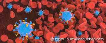 Le variant Omicron détecté au Royaume-Uni