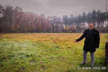 Voetbalveld Korspel wordt bos (Beringen) - Het Belang van Limburg Mobile - Het Belang van Limburg