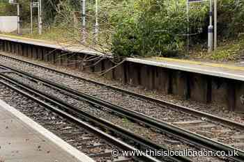 Albany Park trains: Tree falls on tracks causing delays