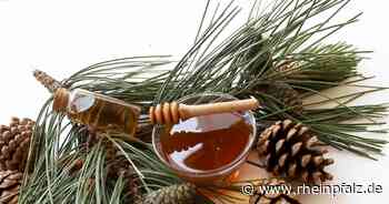 Weihnachtsbaum essen statt wegwerfen - Nachhaltigkeit - DIE RHEINPFALZ - Rheinpfalz.de