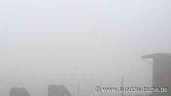 Wetter - Essen - Glatte Nächte in NRW erwartet: Tagsüber wechselhaft - Panorama - SZ.de - Süddeutsche Zeitung