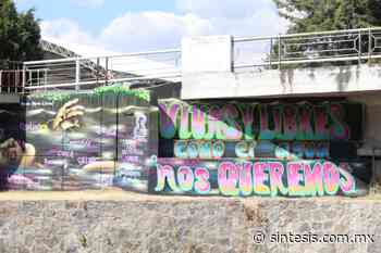 RJ Tlaxcala y grupo Tlakuilas revelan mural memorial “vivas y libres” - Síntesis Nacional