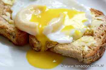 Con las gallinas “libres” o en jaulas: ¿el huevo que producen es diferente? - LA NACION