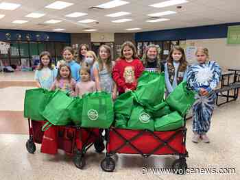 St. Clair County news briefs: Girl Scout troops donate to those affected in Algonac Rolling Brook fire, more - New Baltimore Voice Newspapers