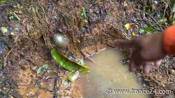 "Las minas que poníamos, ahora las quitamos": excombatientes de las FARC (6/6) - FRANCE 24