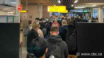 Dutch officials test 61 arrivals from South Africa for new coronavirus variant