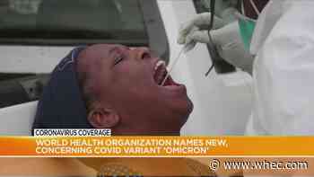 61 cases of new variant 'Omicron' found on Dutch flight from South Africa