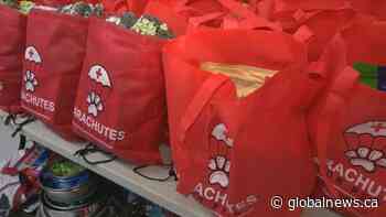 Global Calgary’s Leslie Horton reveals 2021 Month of Giving partners