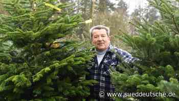 Einnetzen mit dem "Tannen-Twister" - Süddeutsche Zeitung
