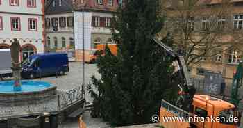 Die Kraft von rund 1500 Glühbirnen in Volkach - inFranken.de