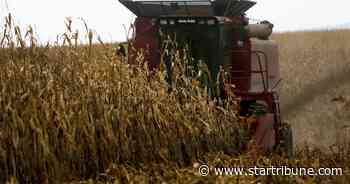 Survey: Wisconsin farmland worth 10% more than in 2020