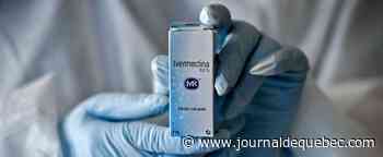 États-Unis: Sept médecins promouvant un faux remède contre la COVID-19 déclarés positifs