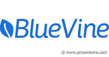 BlueVine Announces U.S. Small Business Resilience Program
