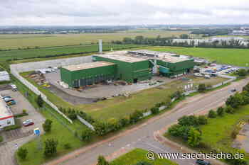 Riesa: Eine Mutter contra Stahlwerk-Anbau - Sächsische.de