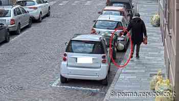 Parma, 330 sanzioni in dieci mesi ai furbetti dei rifiuti - La Repubblica