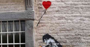 Parma, sulle mura di Palazzo Tarasconi spunta un disegno di Banksy - Il Fatto Quotidiano