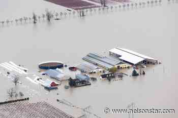 BC, Ottawa to match flood relief donations to Canadian Red Cross – Nelson Star - Nelson Star
