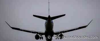 Pays-Bas: 61 passagers en provenance d'Afrique du Sud positifs à la COVID, le variant «probablement» présent