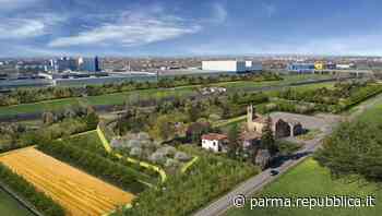 Nasce a Parma l'agriBosco Barilla: tremila alberi piantati dove c'era un terreno incolto - La Repubblica
