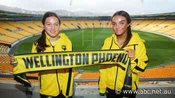 Wellington Phoenix still without major sponsor as A-league Women's season approaches