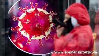 Corona-Update Kreis Soest am Freitag: Viele neue Fälle - Inzidenz nähert sich der 200 - Soester Anzeiger