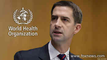 Cotton drags WHO for being 'more concerned' about protecting 'feelings' of Chinese gov. than public health