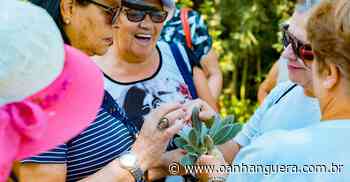 Cotia terá Centro de Longevidade Ativa para atender idosos da cidade - Jornal O Anhanguera
