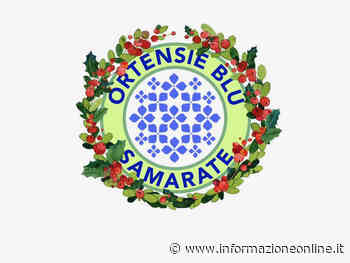 Le "Ortensie Blu" colorano la domenica di Samarate - informazioneonline.it