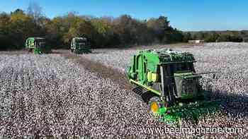 This Week in Agribusiness, November 27, 2021