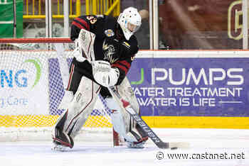Felix Trudeau's four-point night led the Warriors past Trail 7-3 - BCHL - Castanet.net
