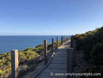 The Magnificent Point Dume Cove Trail In Southern California That Will Lead You To A Hidden Overlook - Only In Your State